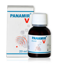 PANAMIR V